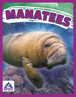 Manaty - Manatees