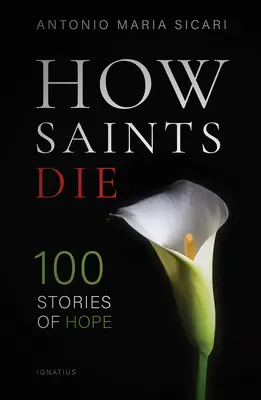 Jak umierają święci: 100 opowieści o nadziei - How Saints Die: 100 Stories of Hope