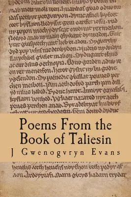 Wiersze z Księgi Taliesina - Poems From the Book of Taliesin