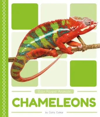 Kameleony - Chameleons