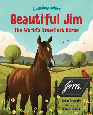 Piękny Jim: Najmądrzejszy koń świata - Beautiful Jim: The World's Smartest Horse