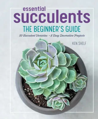 Niezbędne sukulenty: Przewodnik dla początkujących - Essential Succulents: The Beginner's Guide