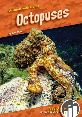 Ośmiornice - Octopuses