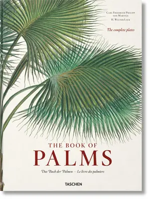 Martius. Księga palm - Martius. the Book of Palms