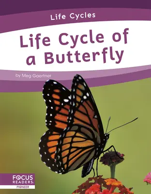 Cykl życia motyla - Life Cycle of a Butterfly