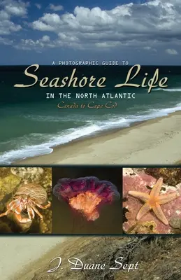 A Photographic Guide to Seashore Life in the North Atlantic: Kanada do Cape Cod - A Photographic Guide to Seashore Life in the North Atlantic: Canada to Cape Cod