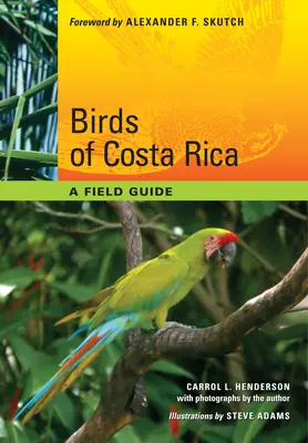 Ptaki Kostaryki: Przewodnik terenowy - Birds of Costa Rica: A Field Guide