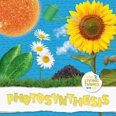 Fotosynteza - Photosynthesis