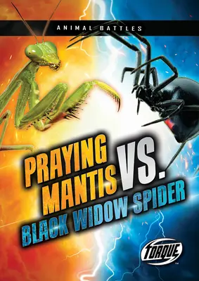 Modliszka vs. pająk czarna wdowa - Praying Mantis vs. Black Widow Spider