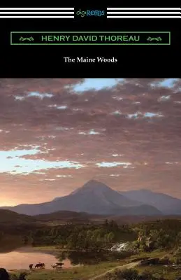 Lasy Maine - The Maine Woods