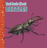 Szybkie fakty o chrząszczach - Fast Facts About Beetles