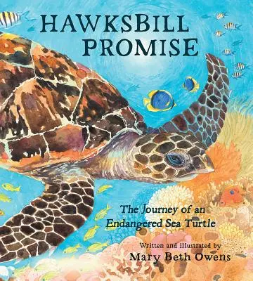 Hawksbill Promise: Podróż zagrożonego wyginięciem żółwia morskiego - Hawksbill Promise: The Journey of an Endangered Sea Turtle