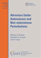 Atraktory w warunkach autonomicznych i nieautonomicznych perturbacji - Attractors Under Autonomous and Non-autonomous Perturbations