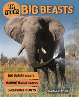 W centrum uwagi: Wielkie bestie - In Focus: Big Beasts