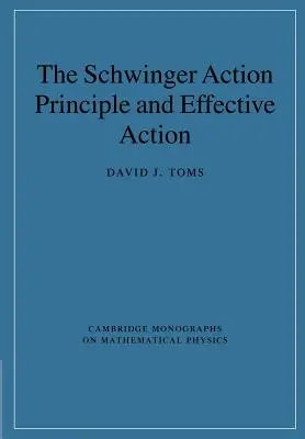 Zasada działania Schwingera i skuteczne działanie - The Schwinger Action Principle and Effective Action