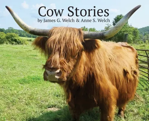 Historie krów - Cow Stories