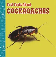 Szybkie fakty o karaluchach - Fast Facts About Cockroaches