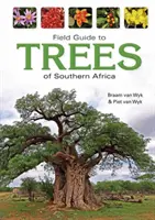 Przewodnik terenowy po drzewach Afryki Południowej - Field Guide to Trees of Southern Africa