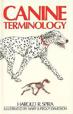 Terminologia psów - Canine Terminology