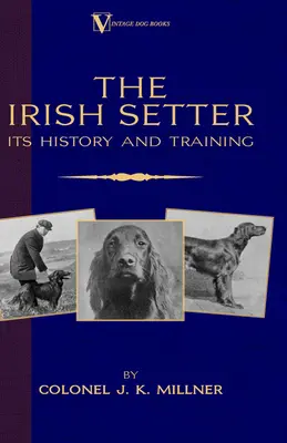 Seter irlandzki - jego historia i szkolenie (klasyka rasy w książkach o psach) - The Irish Setter - Its History & Training (A Vintage Dog Books Breed Classic)