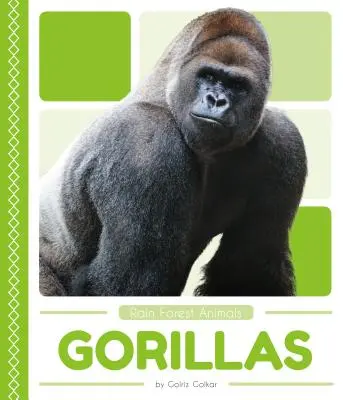 Goryle - Gorillas