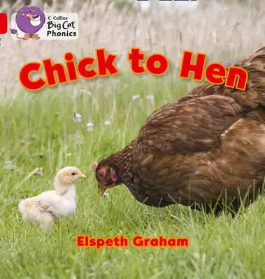 Od pisklęcia do kury - Chick to Hen