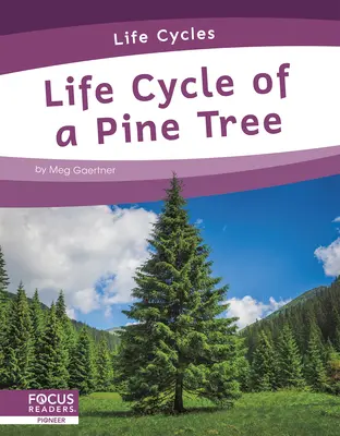 Cykl życia sosny - Life Cycle of a Pine Tree