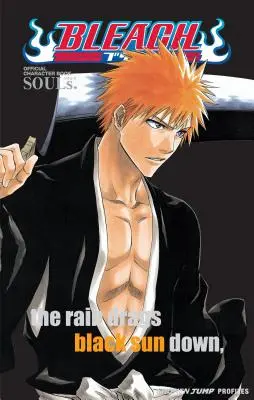 Bleach: Souls. Oficjalna księga postaci [z naklejkami] - Bleach: Souls. Official Character Book [With Stickers]
