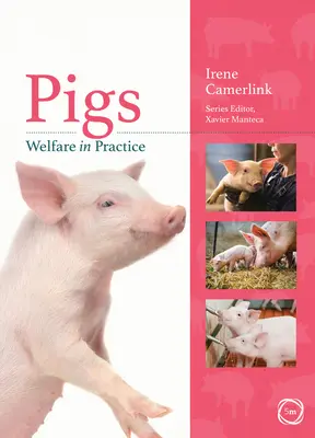 Dobrostan świń w praktyce - Pigs Welfare in Practice