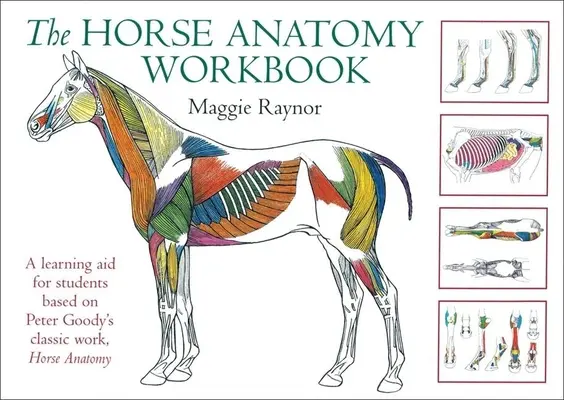 Zeszyt ćwiczeń z anatomii konia: Pomoc naukowa dla studentów oparta na klasycznym dziele Petera Goody'ego, Anatomia konia - The Horse Anatomy Workbook: A Learning Aid for Students Based on Peter Goody's Classic Work, Horse Anatomy