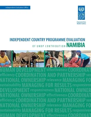 Ocena wyników rozwoju - Namibia: Niezależna ocena wkładu Undp w program krajowy - Assessment of Development Results - Namibia: Independent Country Programme Evaluation of Undp Contribution