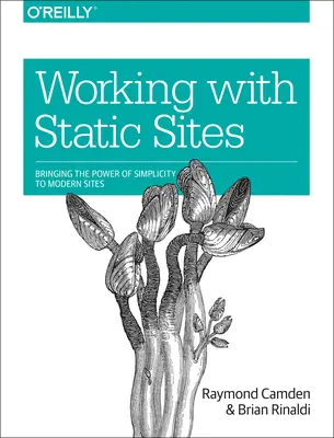 Praca ze statycznymi witrynami: siła prostoty w nowoczesnych witrynach - Working with Static Sites: Bringing the Power of Simplicity to Modern Sites