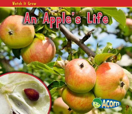 Życie jabłka - An Apple's Life