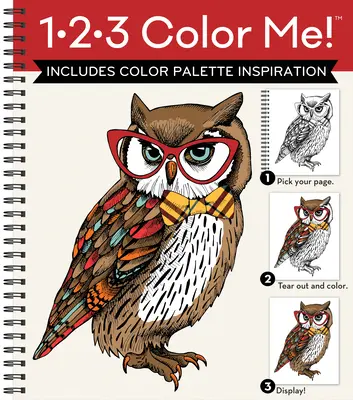 1-2-3 Pokoloruj mnie! (Kolorowanka dla dorosłych z różnymi obrazkami - okładka z sową) - 1-2-3 Color Me! (Adult Coloring Book with a Variety of Images - Owl Cover)