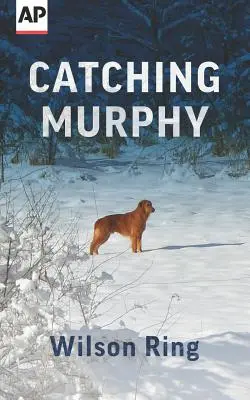 Złapać Murphy'ego - Catching Murphy