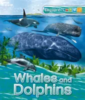 Odkrywcy: Wieloryby i delfiny - Explorers: Whales and Dolphins