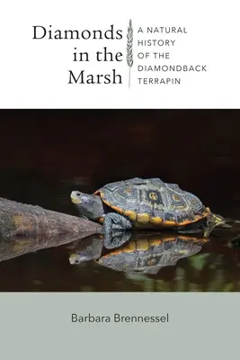 Diamenty w bagnie: Historia naturalna żółwia błotnego - Diamonds in the Marsh: A Natural History of the Diamondback Terrapin