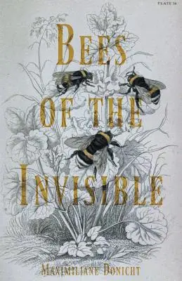 Pszczoły niewidzialne - Bees of the Invisible