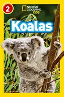 Koale - Poziom 2 - Koalas - Level 2