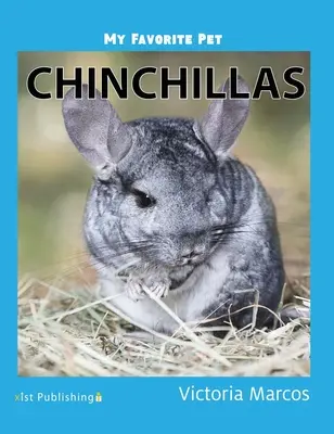 Moje ulubione zwierzę: Szynszyle - My Favorite Pet: Chinchillas