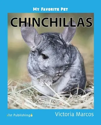 Moje ulubione zwierzątko: Szynszyle - My Favorite Pet: Chinchillas