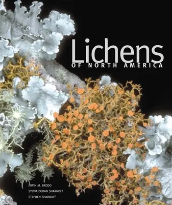 Porosty Ameryki Północnej - Lichens of North America