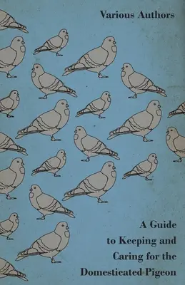 Przewodnik po hodowli i pielęgnacji gołębi domowych - A Guide to Keeping and Caring for the Domesticated Pigeon