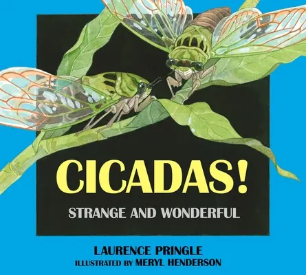 Cykady! Dziwne i wspaniałe - Cicadas!: Strange and Wonderful