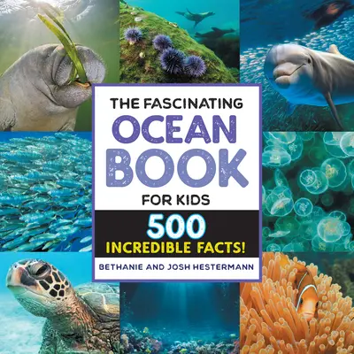 Fascynująca książka o oceanie dla dzieci: 500 niesamowitych faktów! - The Fascinating Ocean Book for Kids: 500 Incredible Facts!