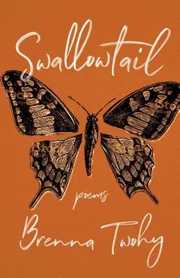 Jaskółczy ogon - Swallowtail