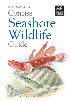 Zwięzły przewodnik po morskiej przyrodzie - Concise Seashore Wildlife Guide