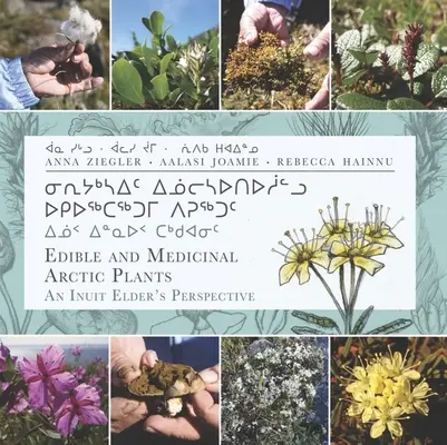 Jadalne i lecznicze rośliny arktyczne: Perspektywa eskimoskiej starszyzny - Edible and Medicinal Arctic Plants: An Inuit Elder's Perspective