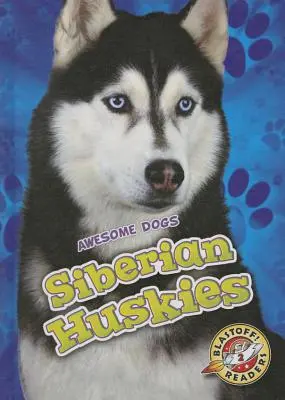 Husky syberyjskie - Siberian Huskies