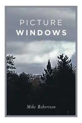 Picture Windows